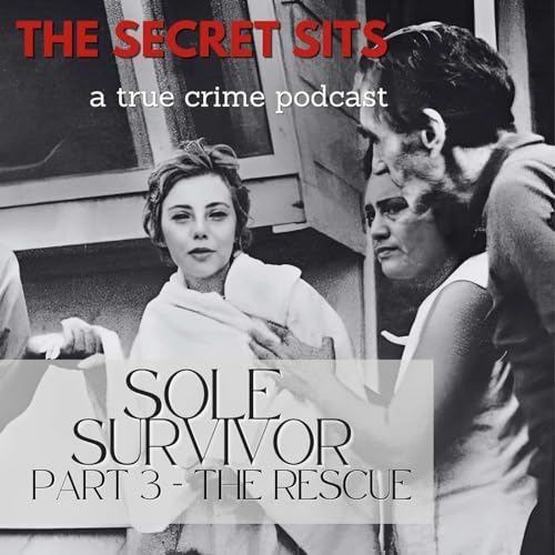 Sole Survivor: Part Three – The Rescue cover art