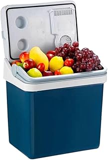 QEWR Frigo RéFrigéRateur Congelateur 12V-24V / 220V-240V de voiture réfrigérateur Cooler Box double usage chaud/froid Portable Petit congélateur,24L