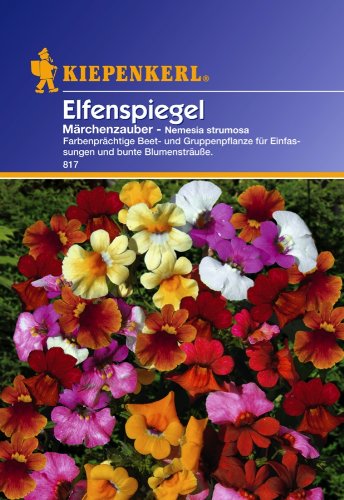 Sperli Blumensamen Elfenspiegel Märchenzauber, grün