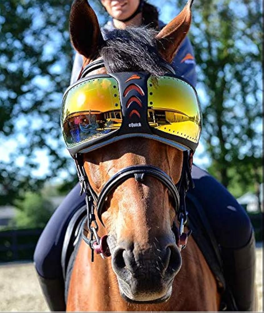 正規 eQuick Horse ゴーグル eVysor 馬用 サングラス ストラップ