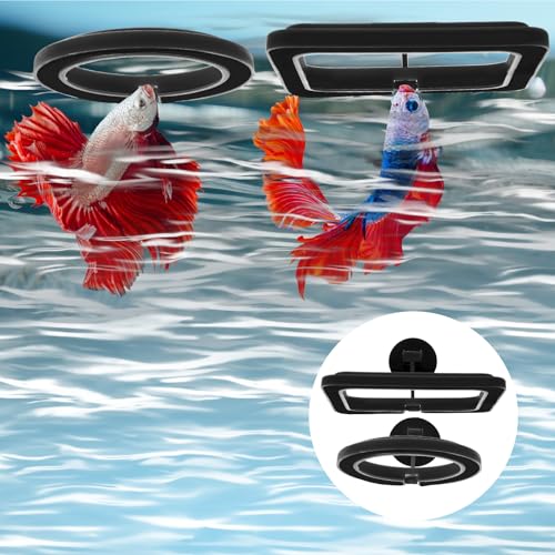 2 PCS Futterring Aquarium, Schwarzer Aquarium Futterring Fisch Fütterung Ringe Fisch Aquariums Fütterer Schwimmend Futter Fütterung Kreis Mit Saugnapf Verhindern, DASS Wasser Turbulenzen Lebensmittel
