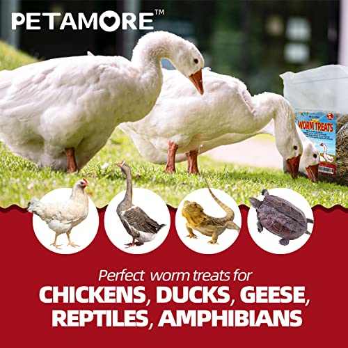 petamore 5lbs Bulk Protein Treats Alternative to Dried Mealworms for Chickens Non-GMO Dried Black Soldier Fly Larvae for… - Image 7