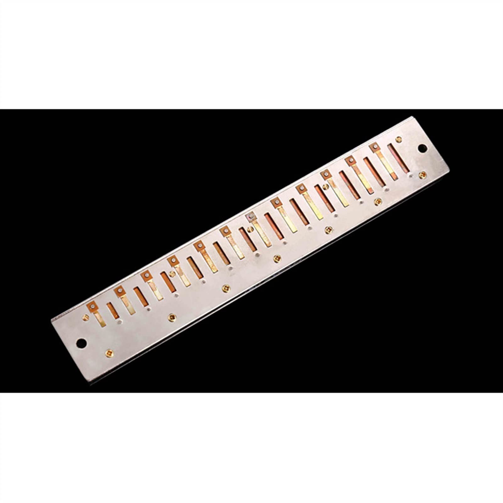 Armonica A Bocca Professionale Armonica A 24 Buche Professionale Polifonica C-Tone I Bambini Adulti Si Esercitano A Suonare L'armonica