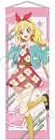 アイカツ TSUTAYA 限定 レトロポップ スリムタペストリー 星宮いちご アイカツ TSUTAYA 限定 レトロポップ スリムタペストリー 星宮