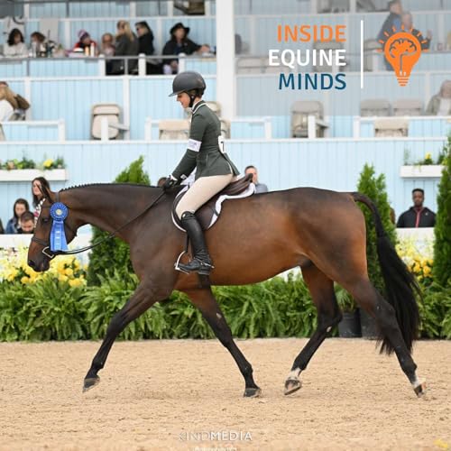 San Pedro 15: Three-peat Horse of the Year