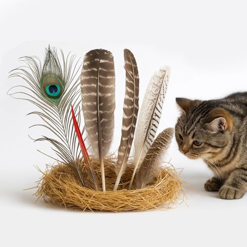 Lunarcat L  H VR L炵  6 mߋ ^ lV XgX m[Y[N LegCiGb`gj C^NeBuߋ L qL VL ނ  Vѓ kop