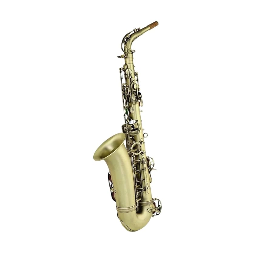 Amazon.co.jp: サックス 高級アンティーク仕上げ Eb E-フラット