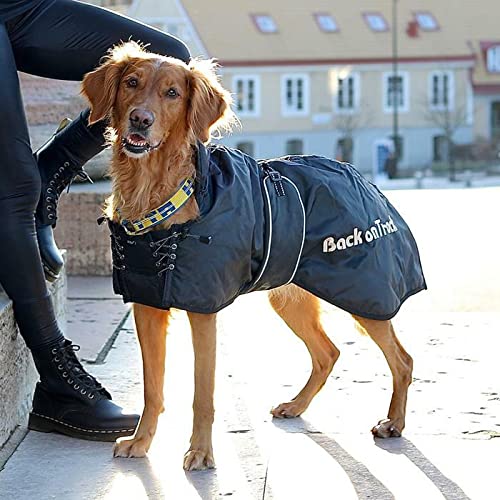 Back on Track - Winter coat 55 cm - (734004110628)