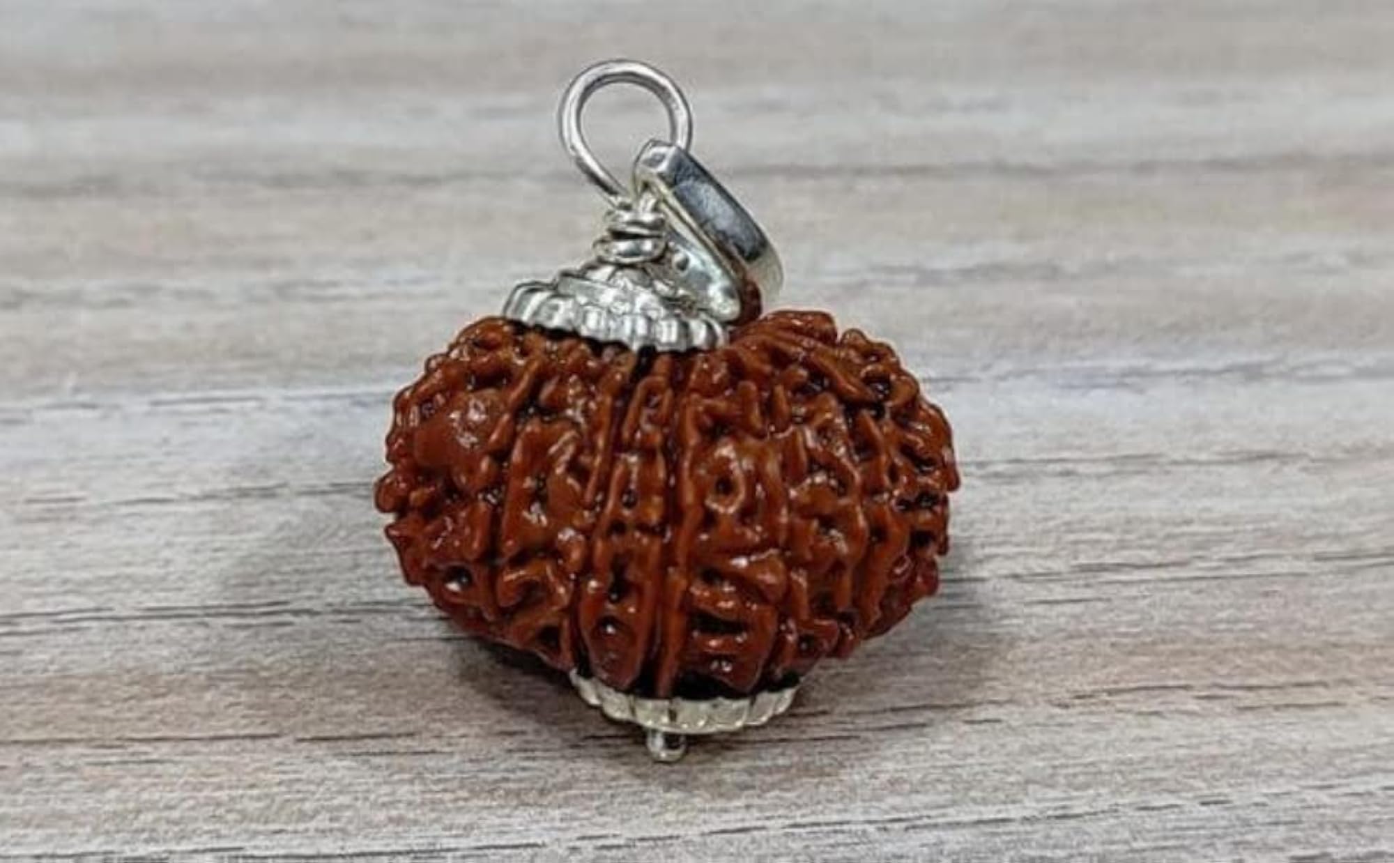 IRIS GEMS 14 Mukhi Rudraksha Pendant with Capping