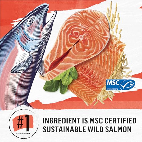 Beyond Simply Natural Dry Cat Food, Salmon & Whole Brown Rice - 2.72 kg Bag image 3