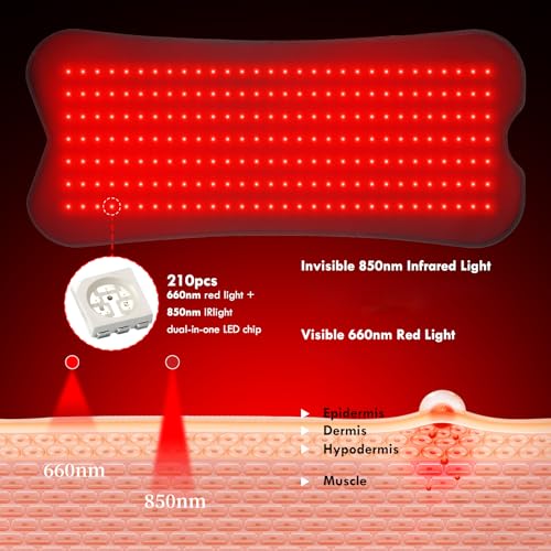 Rote Licht Matte für den Körper mit 210 LEDs, 80 x 35 cm große Rote Licht Matte, 660nm & 850nm rotem & nahinfrarotem Licht, 5 Helligkeitsstufen und 5 Zeiteinstellungen für Beine, Rücken, Taille, Schul