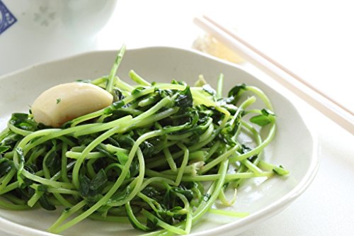 image for Back to the Roots Microgreen Bundle, Sunflower and Radish Microgreen &