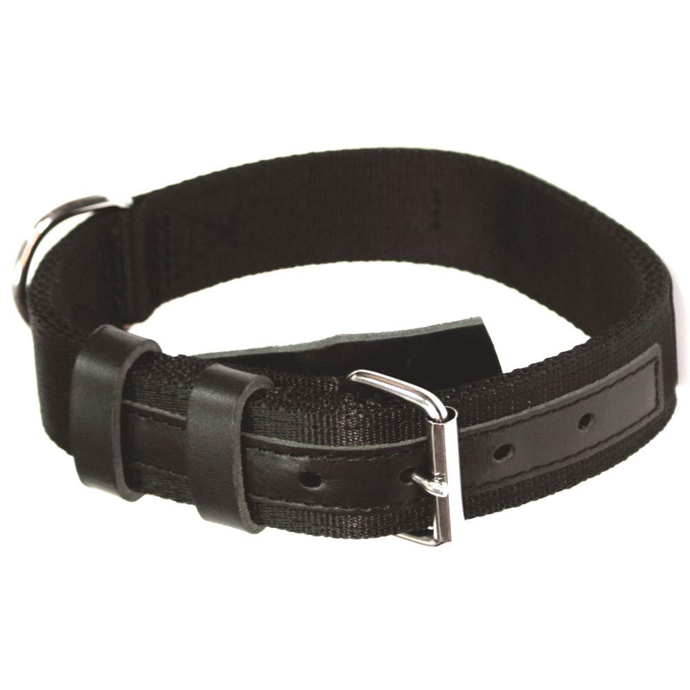 DINGO GEAR WWW.DINGOGEAR.COM 1977 Civilian Material Dog Collar Strengthened Universal for Daily Use and Dog Training Black S04045
