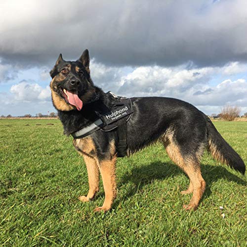 Pettorina aggiustabile per cani di taglia piccola