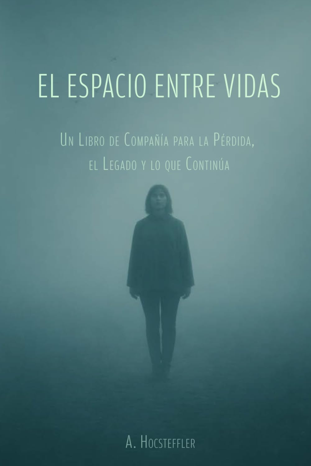 El Espacio Entre Vidas: Un Libro de Compañía para la Pérdida, el Legado y lo que Continúa