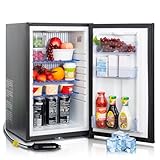 Techomey 12V Refrigerator 1.7 Cu.Ft, AC/DC Semi Truck Refrigerator with Lock, Reversible Door, Quiet Absorption Mini Fridge for RV Camper, Caravan, Boat, Compact, Black