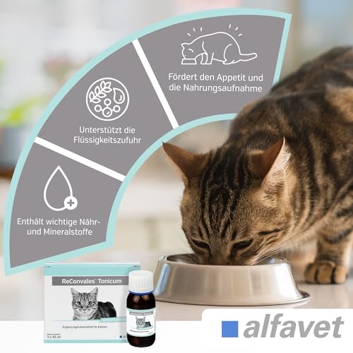 alfavet ReConvales Tonicum Katze, 3 x 45ml, appetitanregendes Ergänzungsfuttermittel zur Rekonvaleszenz und bei Untergewicht
