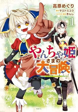 やんちゃ姫さまの大冒険 うちの第三王女、冒険者になるってよ