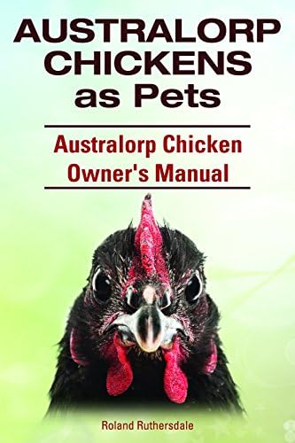 Australorp Chicken Owner’s Manual. Australorp Chickens as Pets.