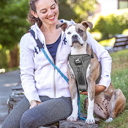 Kurgo Dog Harness, Grey, XS - Image 3
