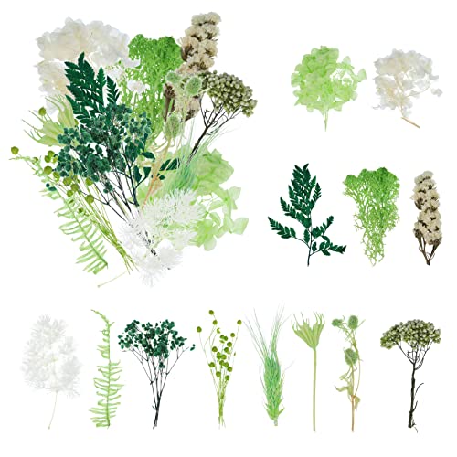 Bouquet de Fleurs Séchées Naturelles Vraies Fleurs Pressées Décoration pour Bricolage Résine Epoxy Bijoux Floraux Nail Art DIY Bougie Fabrication Artisanale Scrapbooking (Vert) Cover