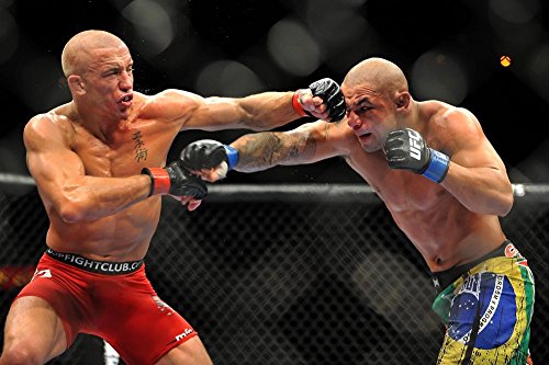 NewBrightBase Georges St.Pierre Fabric Poster 36x24