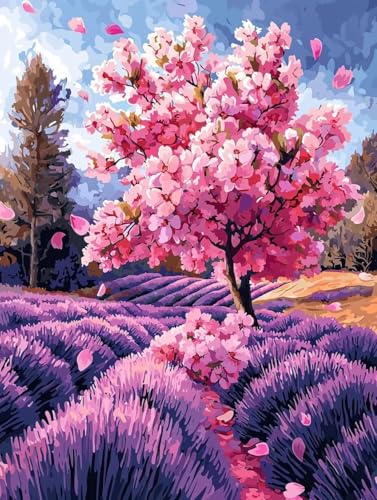 XyCgoCio[Lbg i GLbg lphGLoXNtg A[guVƃANG̋ DIYGoCH| |ph S qp ƒ̕Ǒ t[Ȃ40x50cm -2148