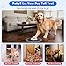 ChunHee Dog Door Bell for Potty Training –Smart Wireless Dog Bell to Go Outside, 500Feet with IP55 Waterproof, 32 Melodies & 5 Volume Levels(1 Receiver + 2 Buttons)