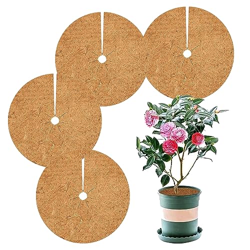 OMZSXK 4 Stück Kokos Mulchscheibe,Ø30cm Kübelabdeckung Winterschutz für Topfpflanzen,Kokosscheibe Pflanzenschutzmatte,Kokos Pflanzenschutz,Kübelabdeckung Frostschutz,Winterschutz Unkrautschutzmatte