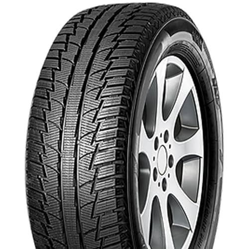 FORTUNA - 205/70 R15 TL 96T WINTER SUV M+S 3PMSF - Winterreifen