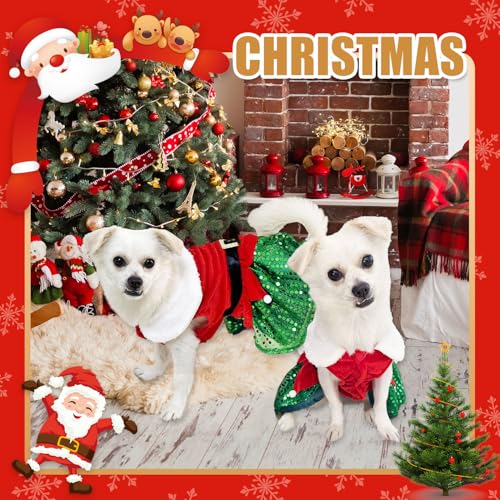 Disfraz Navidad para Perro Pequeño vestido Rojo Santa Claus miniatura 2