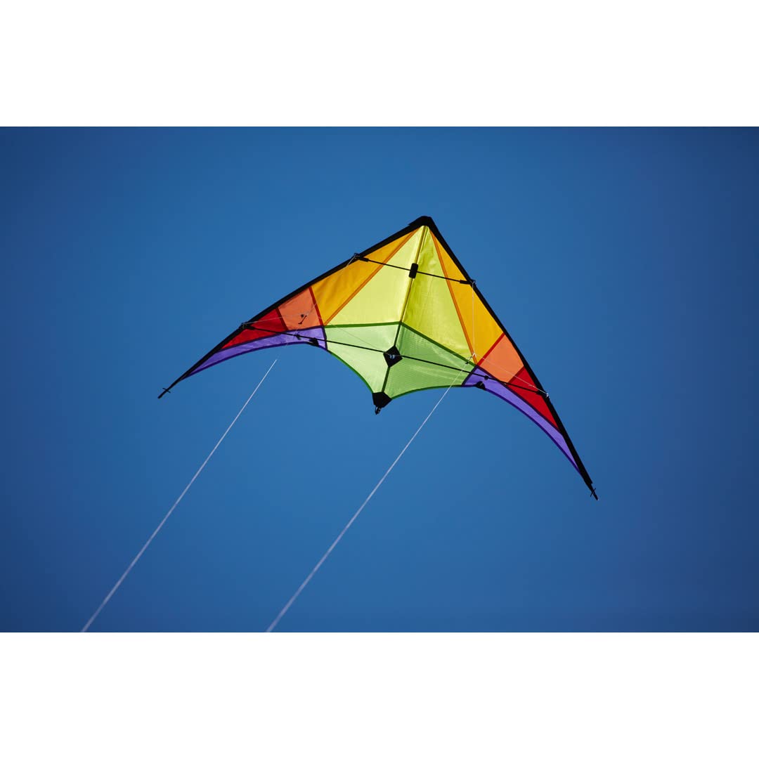 Amazon.com: HQ Kites Eco Line: Stunt Kite Rookie, Rainbow