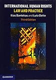 International Human Rights Law and Practice - Ilias Bantekas, Lutz Oette 