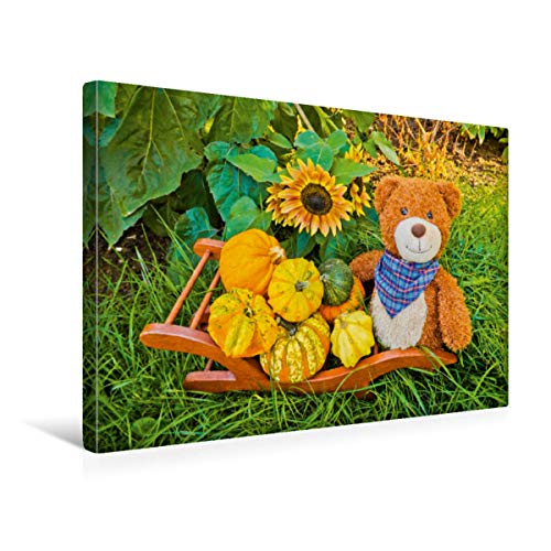 Preisvergleich Produktbild CALVENDO Outdoor Teddies