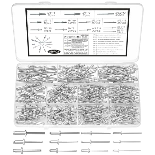 260 Pcs Rivet Pop Tete Large, Rivets Pop en Aluminium à Tête Large, Rivets Aveugles en Aluminium pour Métal Bois, bateaux, voitures, meubles, rails et bricolage(argenté, M2.4, M3.2, M4, M5)
