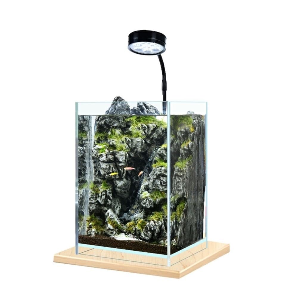 Acquario Acquario da tavolo piccolo fai da te ecologico for ufficio, casa, decorazione for acquario