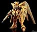 HG 1/144 Freedom Gundam Gold Injection Color ZGMF-X10A