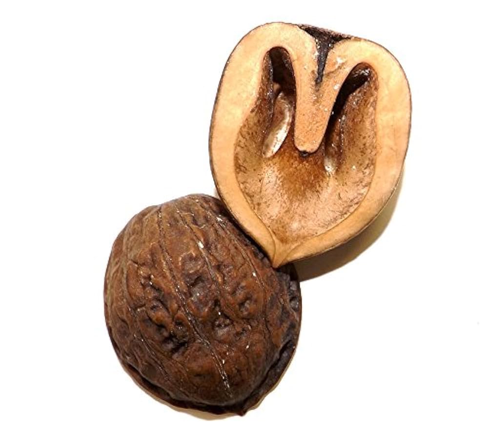 Amazon.co.jp: 【チップ】 くるみチップ マルチング材量売り 1L