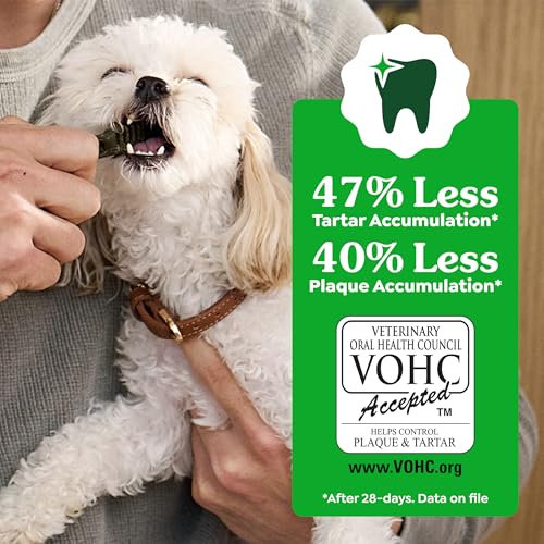 Image of Greenies Veterinarian-Recommended Adult Natural Dental Dog Treats Petite Size, Dog Dental Chews, Original Flavor, 54 oz. Pack, 90 Count