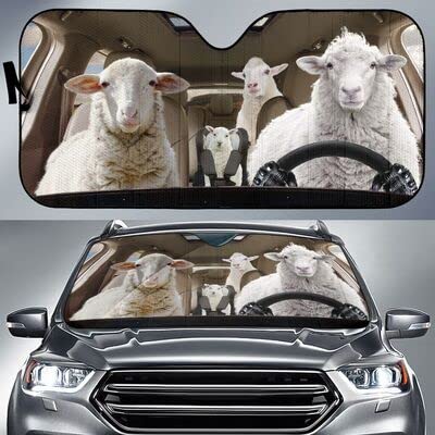 Pare-soleil voiture imperméable et protection pare-soleils intérieur universelle M
