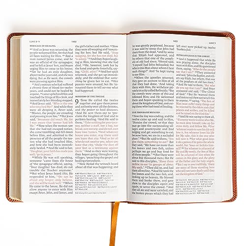 Holman Bibles 23801X Nasb Large Print Personal Size Reference Bible thumb #3