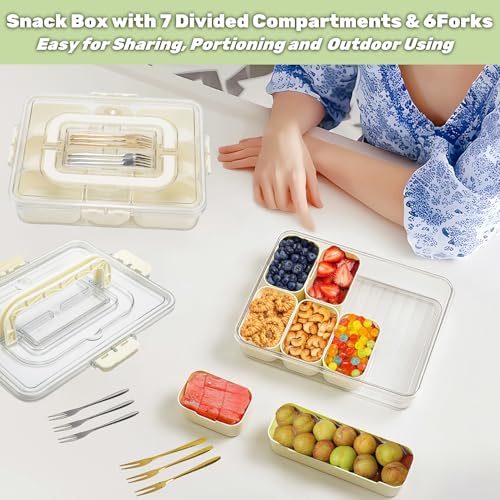 Divided Serving Tray with Lid and Handle, Snackle Box Container Portable Snack Platters with 7 Compartments & Forks, Ice Chilled Organizer for Fruits, Veggies, Salad, Perfect for Entertaining,Picnic