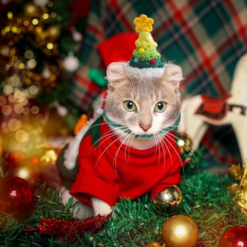 Chapéu de Natal para animais de estimação, Chapéu de Natal para cães pequenos | Chapéu tecido à mão