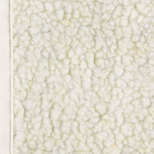 Amazon Basics Soft-Sided Mesh Pet Travel Carrier, Small (13.8 X 8.7 X 8.7 Inches), Black #TOP6