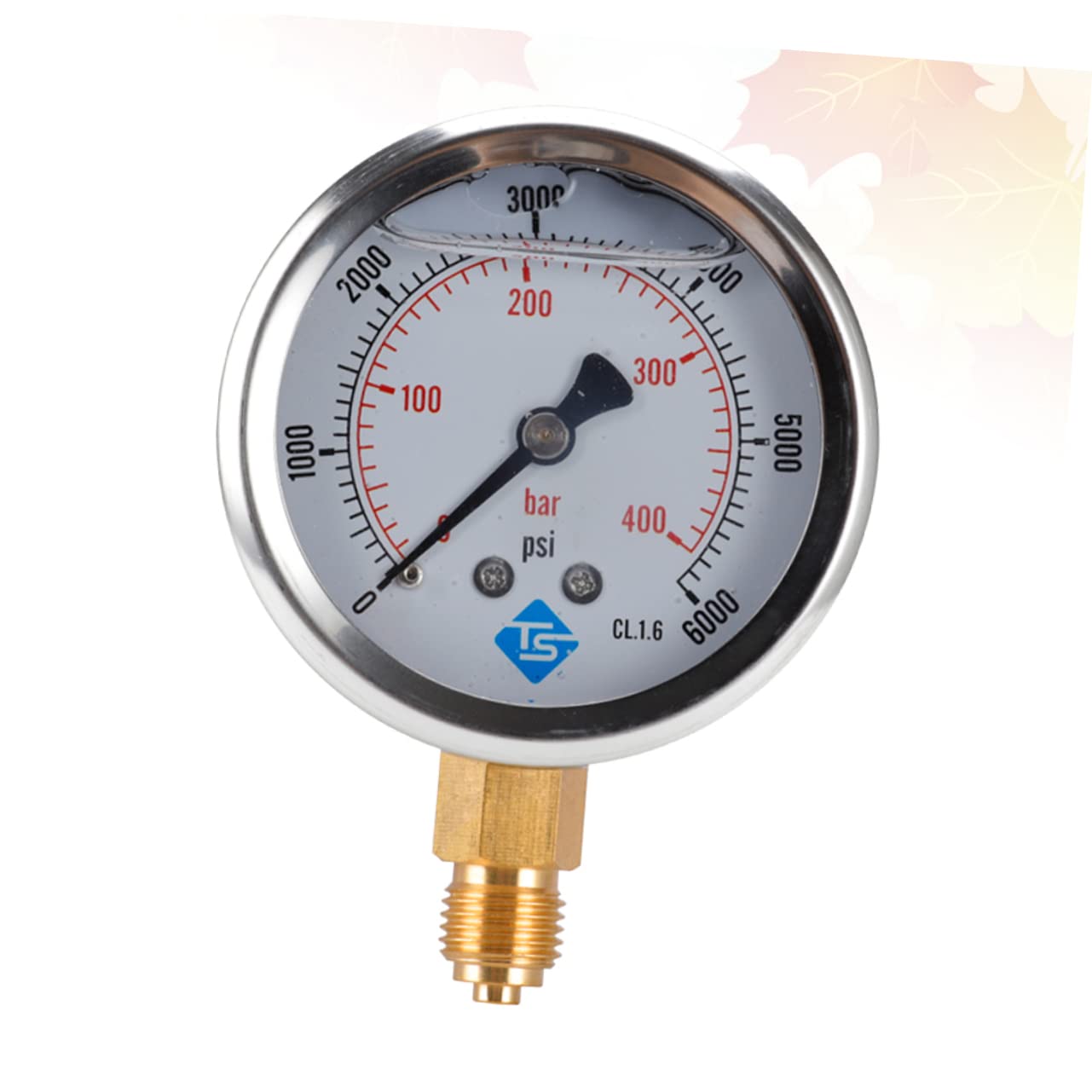 Manometro Acqua Y60 Manometro Radiale per lubrificazione 604 Manometro Precision Suite Riempito d'olio