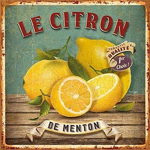 Plaque en Métal Vintage Le Citron pour la Maison Cuisine Ferme Jardin Déco Signalisation Murale 30,5 x 30,5 cm