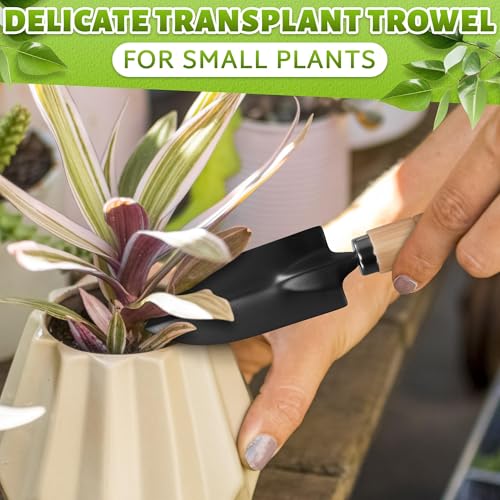 Klein Garten Werkzeug, 3 Stück Pflanzen Werkzeuge Klein, Pflanzen Werkzeug Garten, Mini Gartenwerkzeug Set, Kleine Schaufel Gartenset, Mini Pflanze Gartengeräte, Werkzeugset