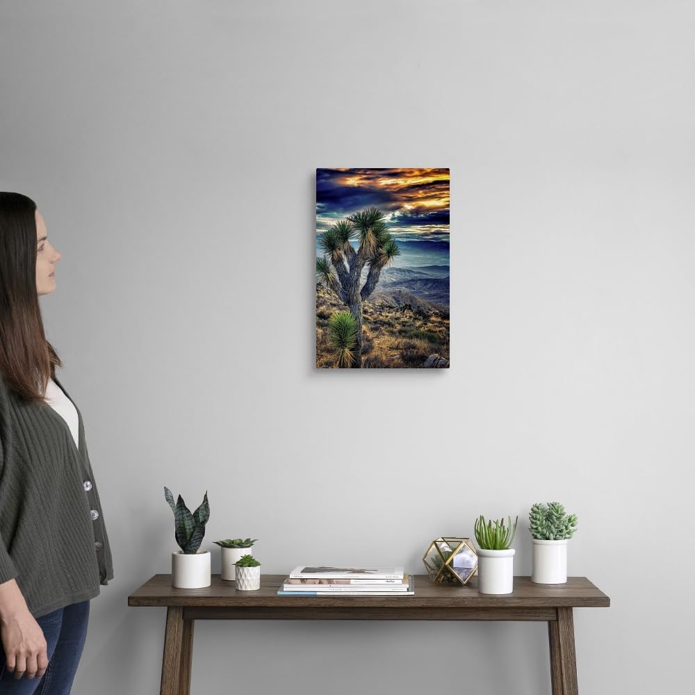 CANVAS ON DEMAND Joshua Tree Sunset Canvas Wall Art Print by Janice Sullivan, Home Decor, Beauty Artwork,12" x18in