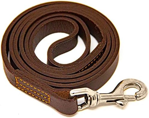 Logical Leather 4 Foot Dog Leash - Best for Training - Heavy Full Grain Leather Lead - Brown
