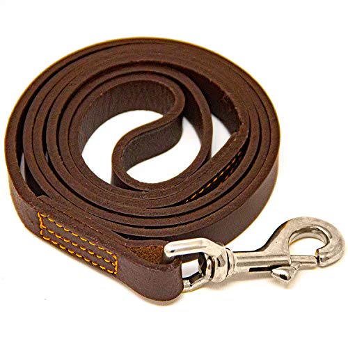 5 Best Leather Dog Leashes (20hr Study Concludes)